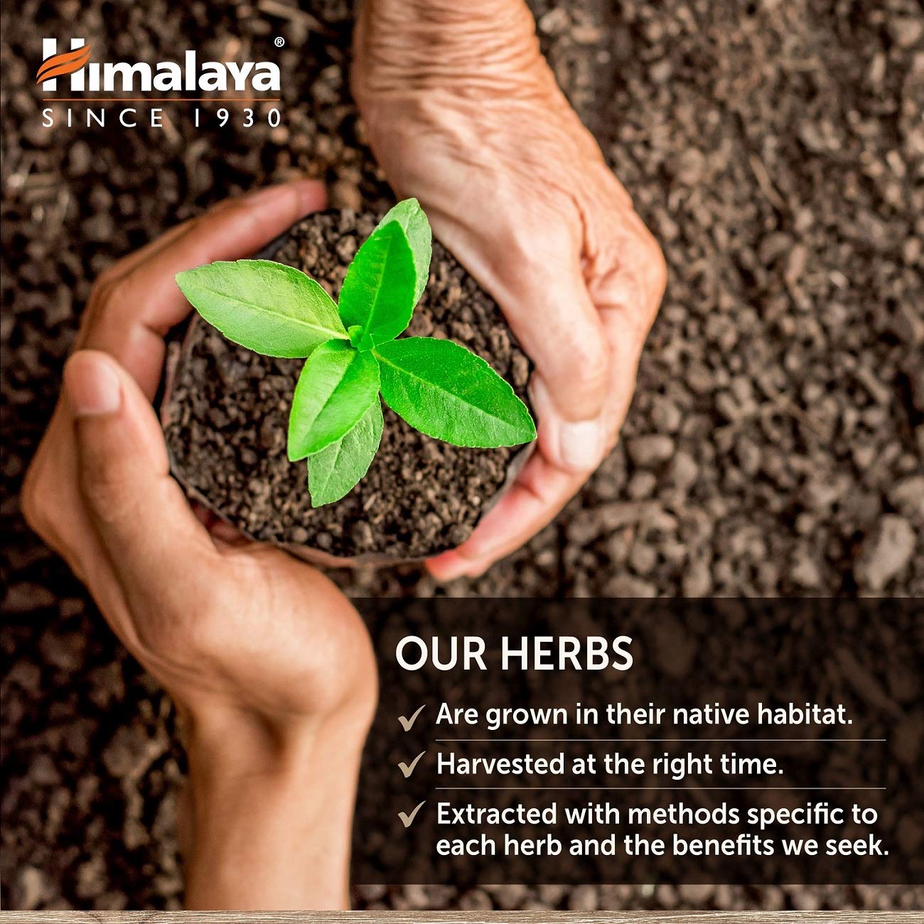 Himalaya GlucoCare, 45 Day Supply - Herbal Glucose Metabolism and Pancreatic Support with Triphala, Turmeric, Bitter Melon, and Gymnema - Vegan, Non-GMO, Gluten Free, 90 Capsules
