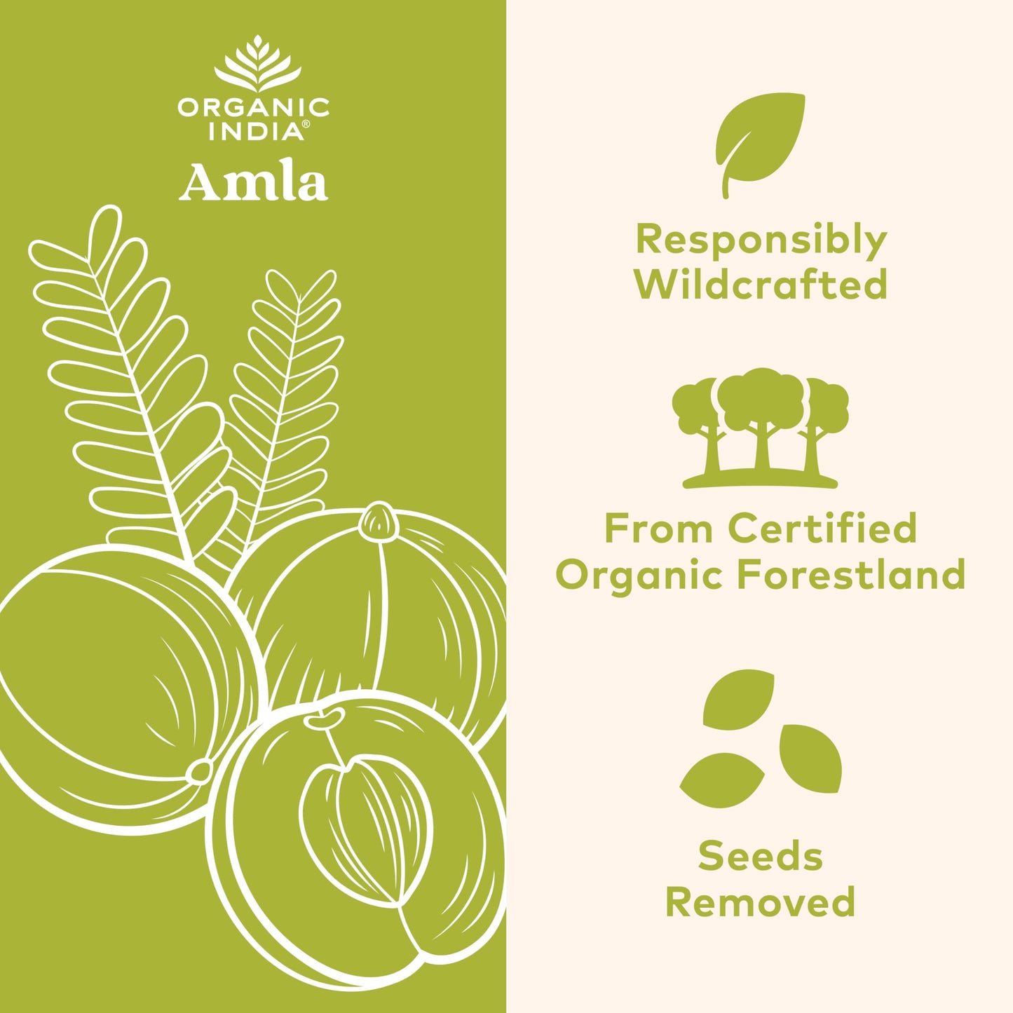 ORGANIC INDIA Amla Capsules Organic - Indian Gooseberry Herbal Vitamin Supplement, Amla Supplement, Immune Support, Vegan, Gluten-Free, Ayurvedic, Antioxidant, Non-GMO - 90 Capsules
