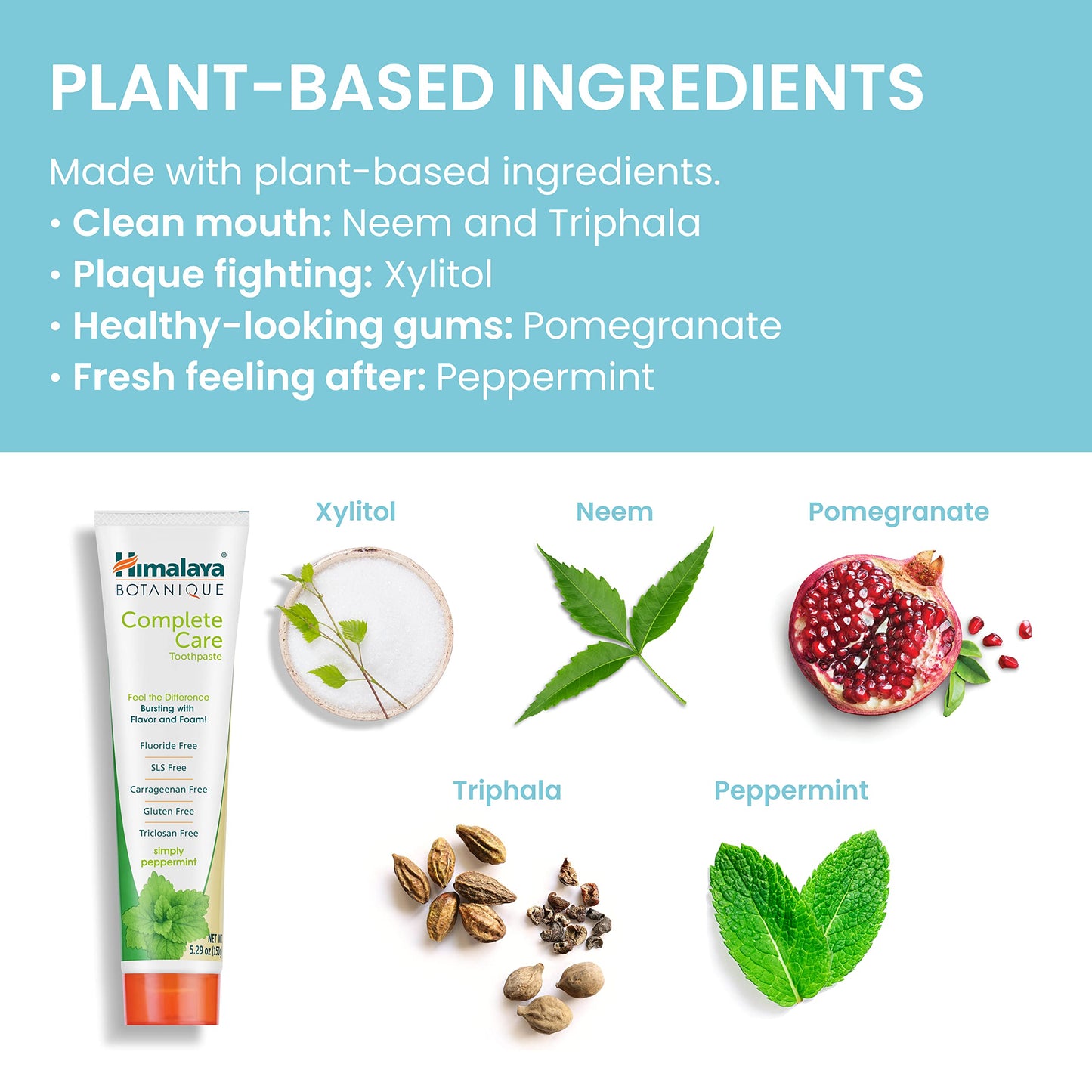 Himalaya Botanique Complete Care Toothpaste, Herbal, Mint Flavor, Fights Plaque, Freshens Breath, Fluoride Free, No Artificial Flavors, SLS Free, Cruelty Free, Foaming, 5.29 Oz, 4 Pack