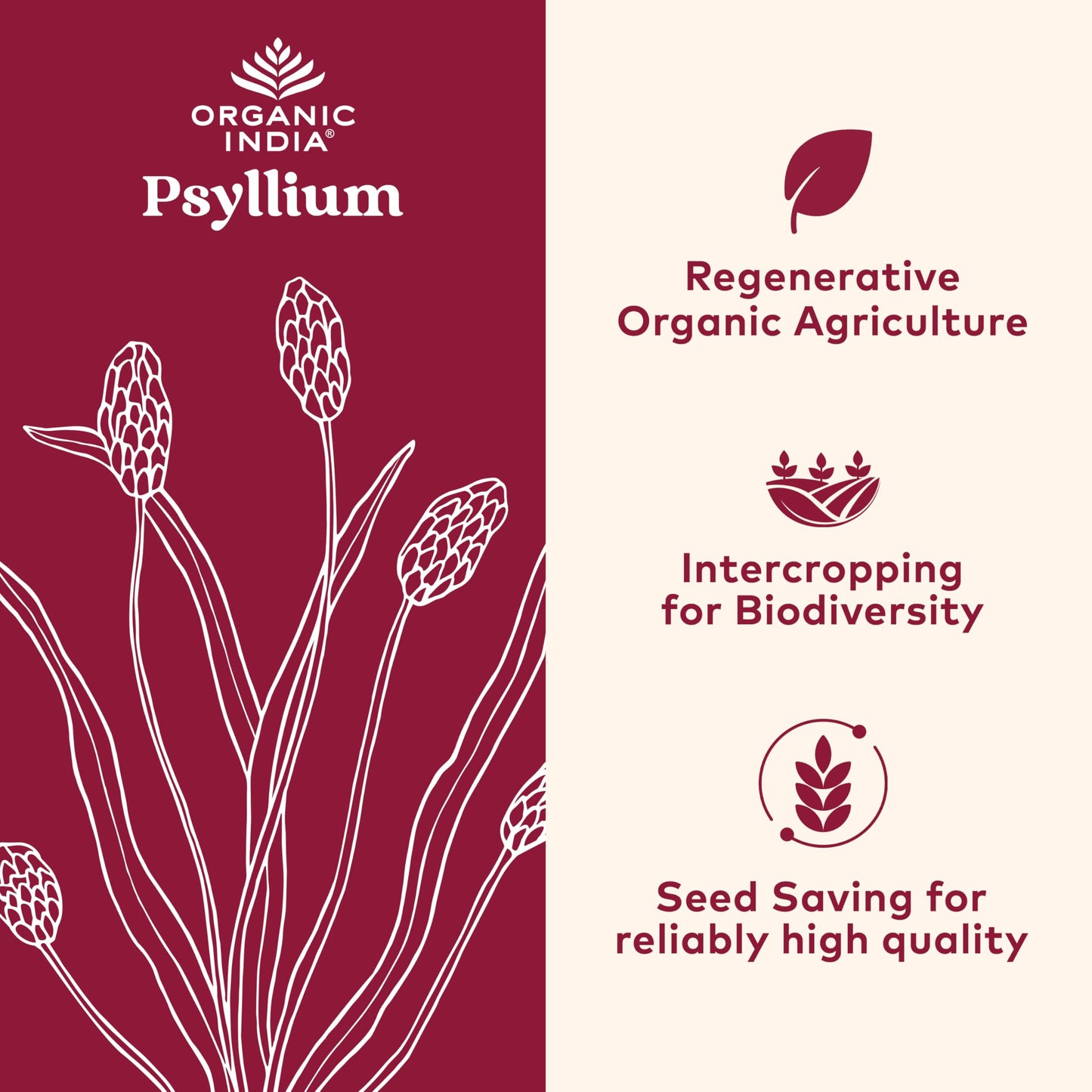 ORGANIC INDIA Whole Psyllium Husk Powder Organic - Psyllium Husk Fiber Supplement, Digestion Support, Vegan, Gluten-Free, Non-GMO, Soluble & Insoluble Fiber Source - 12 oz (Pack of 1)