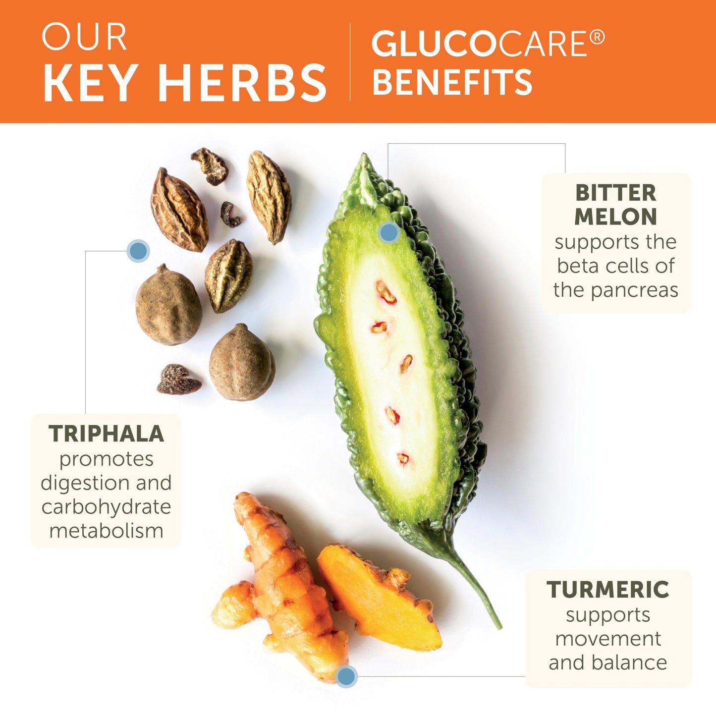 Himalaya GlucoCare, 45 Day Supply - Herbal Glucose Metabolism and Pancreatic Support with Triphala, Turmeric, Bitter Melon, and Gymnema - Vegan, Non-GMO, Gluten Free, 90 Capsules