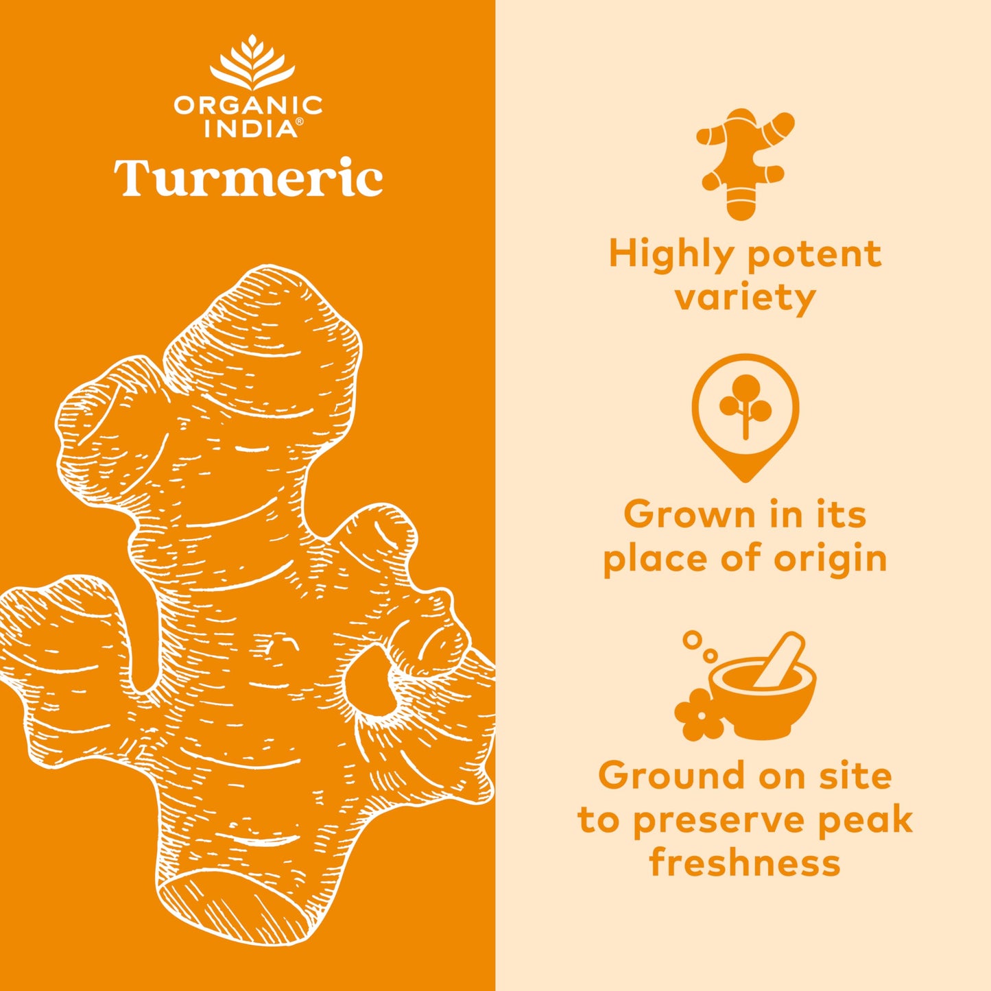 ORGANIC INDIA Turmeric Curcumin with Black Pepper - Organic Turmeric Supplement and Curcumin Supplement, Turmeric Capsules, Joint Support & Immune System Support, Whole Root, Trikatu - 180 Capsules