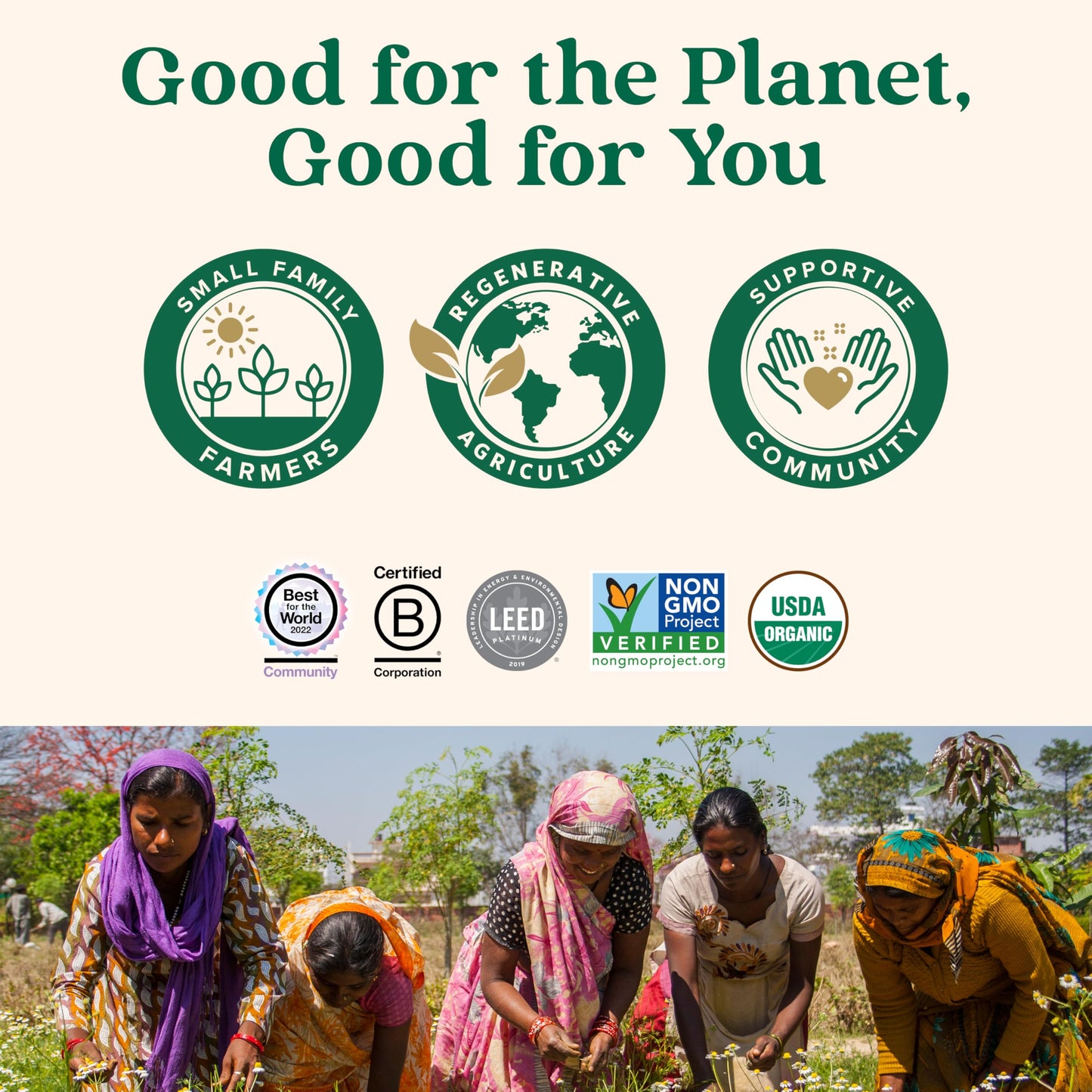 ORGANIC INDIA Amla Capsules Organic - Indian Gooseberry Herbal Vitamin Supplement, Amla Supplement, Immune Support, Vegan, Gluten-Free, Ayurvedic, Antioxidant, Non-GMO - 90 Capsules