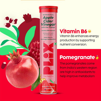 THE PLANT FIX Apple Cider Vinegar Effervescent Tablet with mother | Supports Metabolism & Appetite Control I With 500mg ACV, Vit B6 & B12 I No Maltodextrin, No Added Sugar I Pack of 4 (60 tablets)