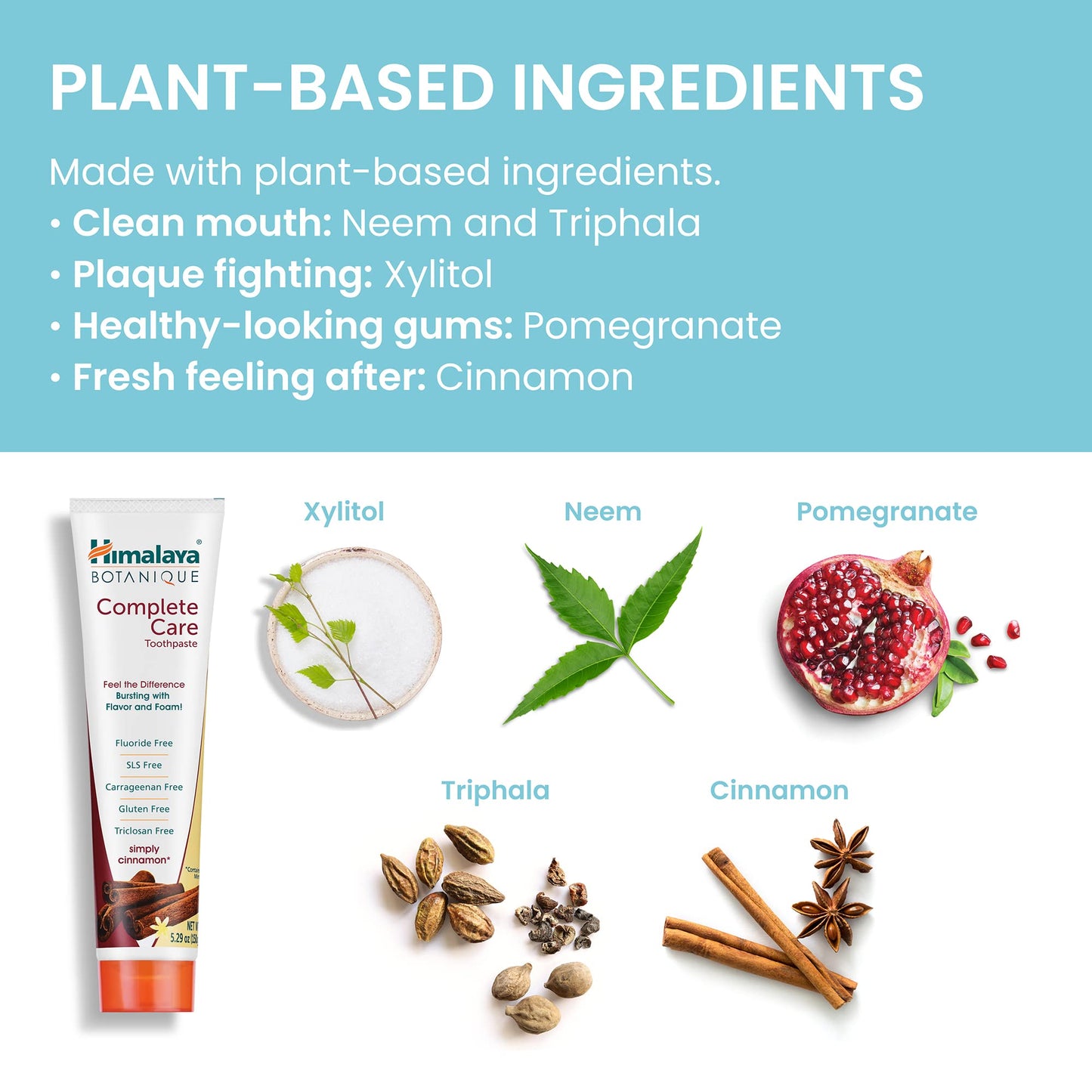 Himalaya Botanique Complete Care Toothpaste, Herbal, Mint Flavor, Fights Plaque, Freshens Breath, Fluoride Free, No Artificial Flavors, SLS Free, Cruelty Free, Foaming, 5.29 Oz, 4 Pack