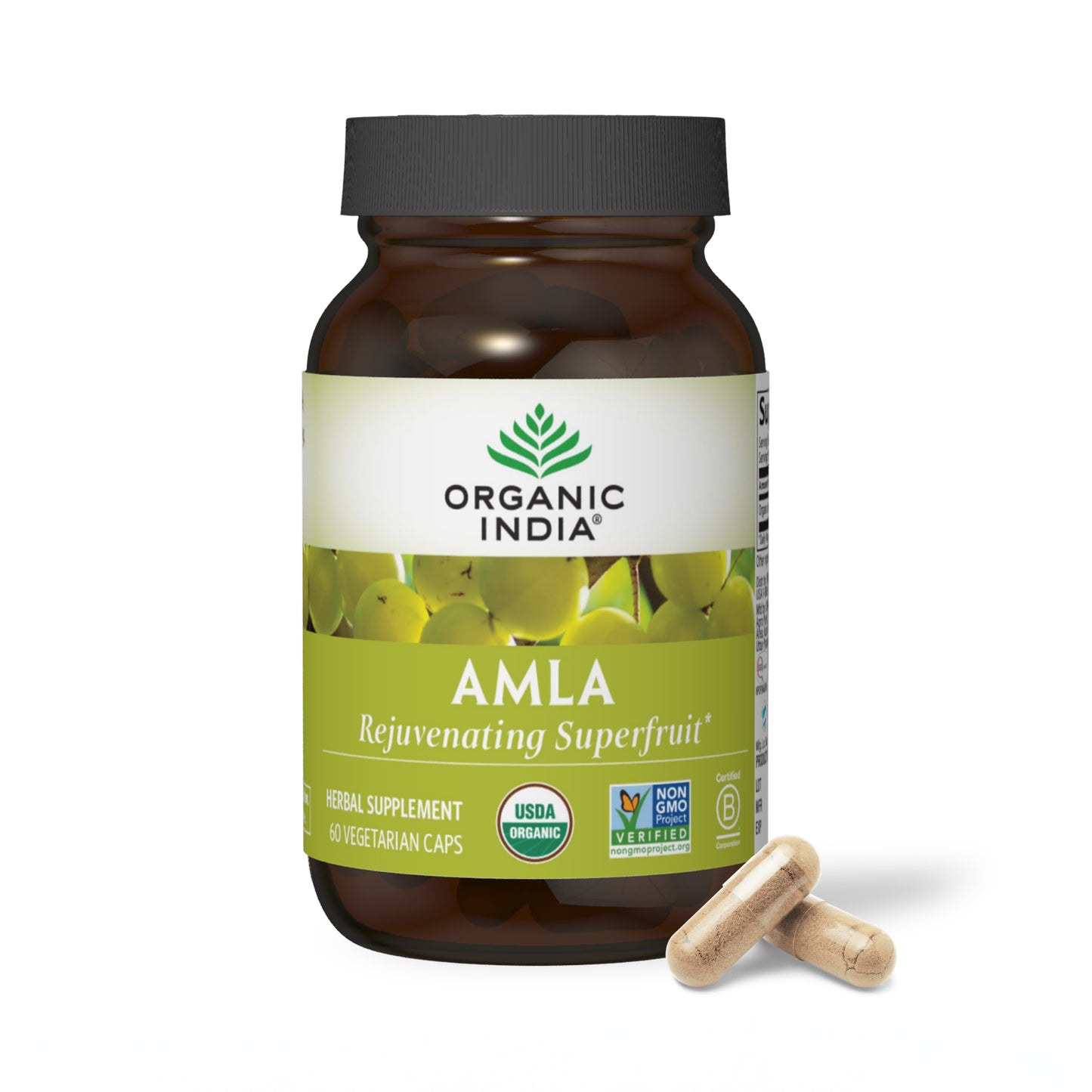 ORGANIC INDIA Amla Capsules Organic - Indian Gooseberry Herbal Vitamin Supplement, Amla Supplement, Immune Support, Vegan, Gluten-Free, Ayurvedic, Antioxidant, Non-GMO - 90 Capsules