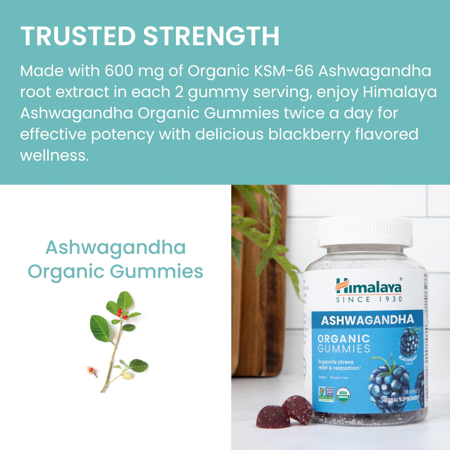 Himalaya Organic Ashwagandha, 60 Day Supply, Herbal Supplement for Stress Relief, Energy, Occasional Sleeplessness, Additive Free, Organic, Non-GMO, Vegan, Gluten Free, 670 mg, 60 Caplets