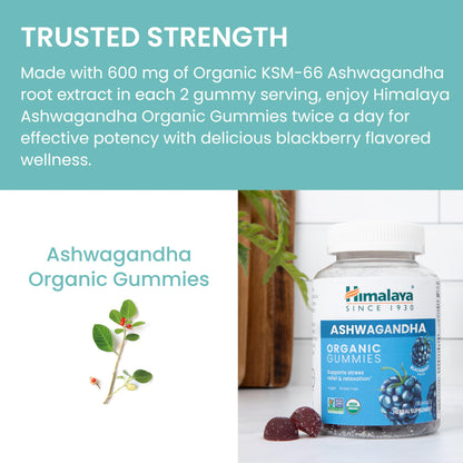 Himalaya Organic Ashwagandha, 60 Day Supply, Herbal Supplement for Stress Relief, Energy, Occasional Sleeplessness, Additive Free, Organic, Non-GMO, Vegan, Gluten Free, 670 mg, 60 Caplets