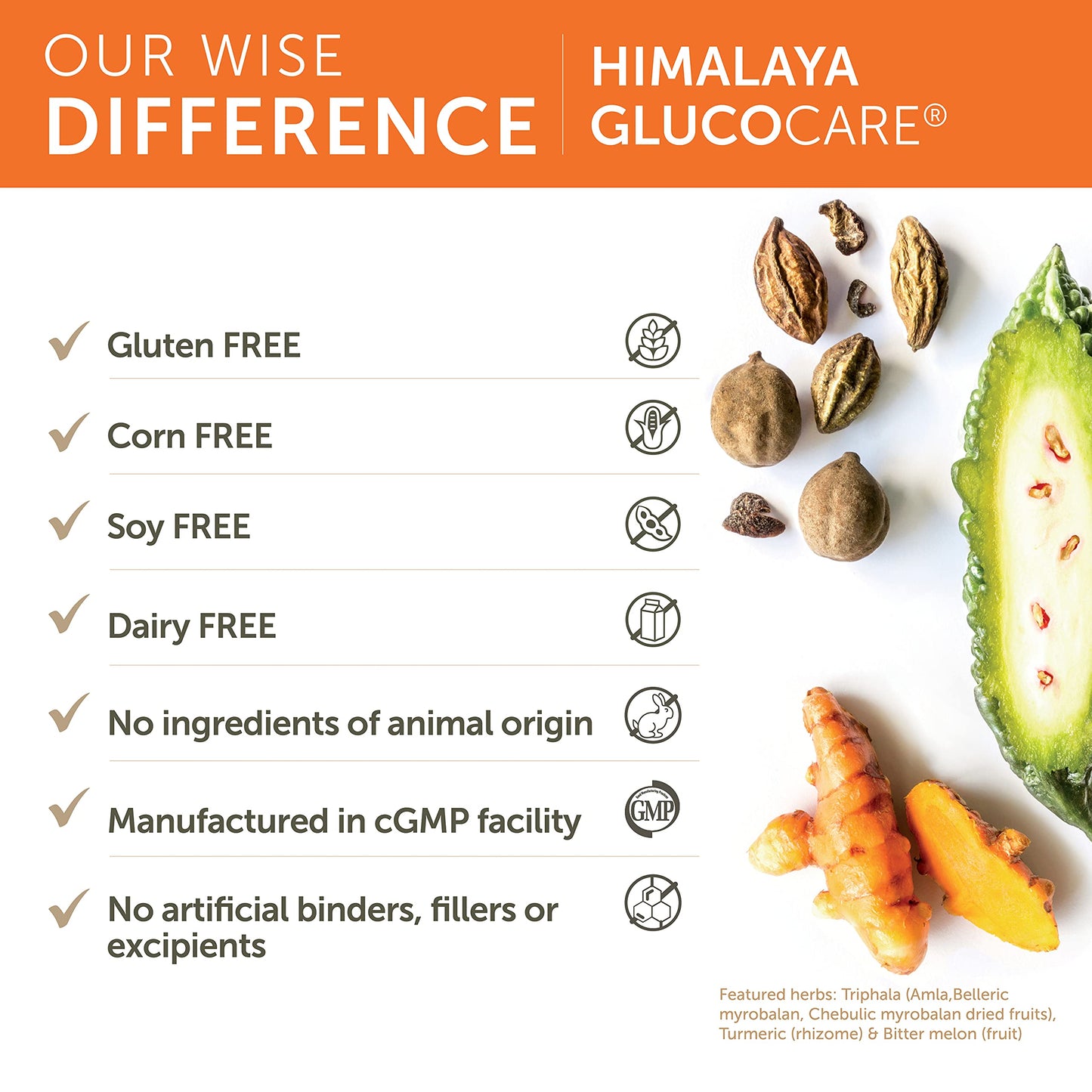Himalaya GlucoCare, 45 Day Supply - Herbal Glucose Metabolism and Pancreatic Support with Triphala, Turmeric, Bitter Melon, and Gymnema - Vegan, Non-GMO, Gluten Free, 90 Capsules