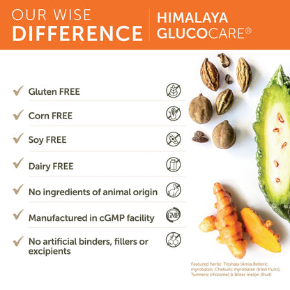 Himalaya GlucoCare, 45 Day Supply - Herbal Glucose Metabolism and Pancreatic Support with Triphala, Turmeric, Bitter Melon, and Gymnema - Vegan, Non-GMO, Gluten Free, 90 Capsules