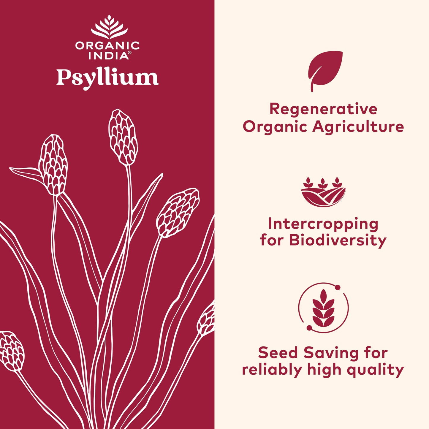 ORGANIC INDIA Whole Psyllium Husk Powder Organic - Psyllium Husk Fiber Supplement, Digestion Support, Vegan, Gluten-Free, Non-GMO, Soluble & Insoluble Fiber Source - 12 oz (Pack of 1)
