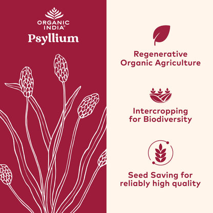 ORGANIC INDIA Whole Psyllium Husk Powder Organic - Psyllium Husk Fiber Supplement, Digestion Support, Vegan, Gluten-Free, Non-GMO, Soluble & Insoluble Fiber Source - 12 oz (Pack of 1)