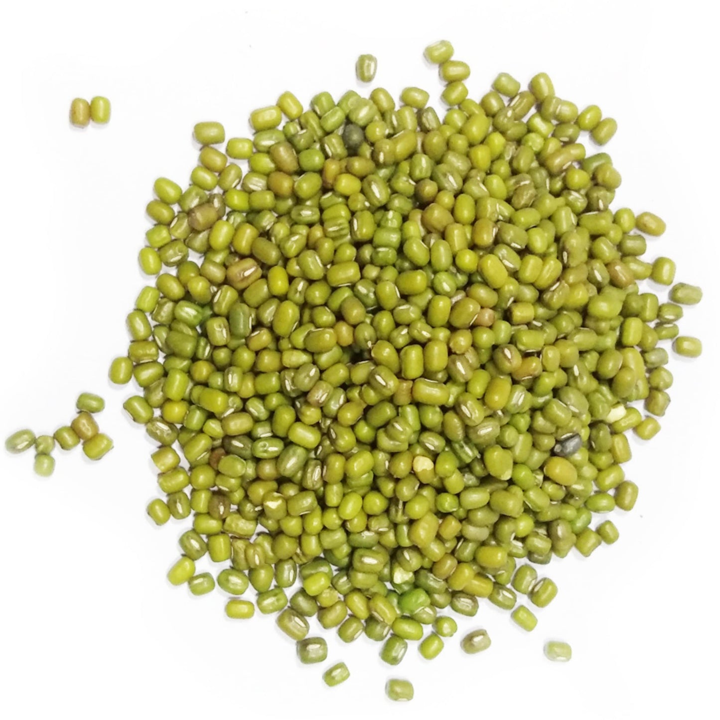 Rani Moong Whole (Ideal for cooking & sprouting, Whole Mung Beans with skin) Lentils Indian 64oz (4lbs) 1.81kg Bulk ~ All Natural | Gluten Friendly | Non-GMO | Kosher | Vegan | Indian Origin