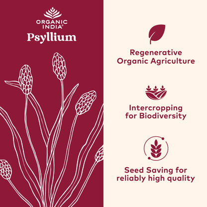 ORGANIC INDIA Whole Psyllium Husk Powder Organic - Psyllium Husk Fiber Supplement, Digestion Support, Vegan, Gluten-Free, Non-GMO, Soluble & Insoluble Fiber Source - 12 oz (Pack of 1)