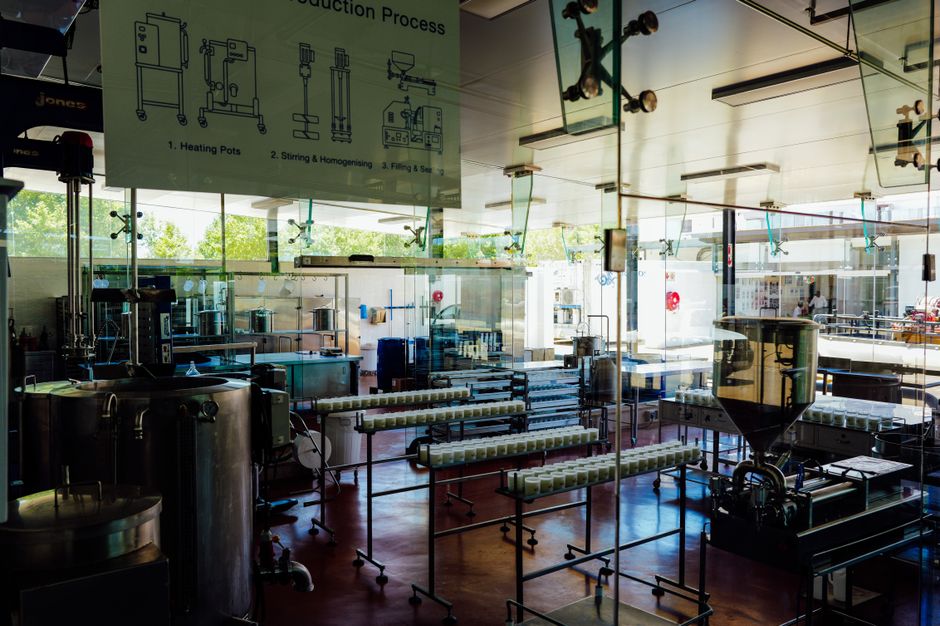 Processing line or bulk handling