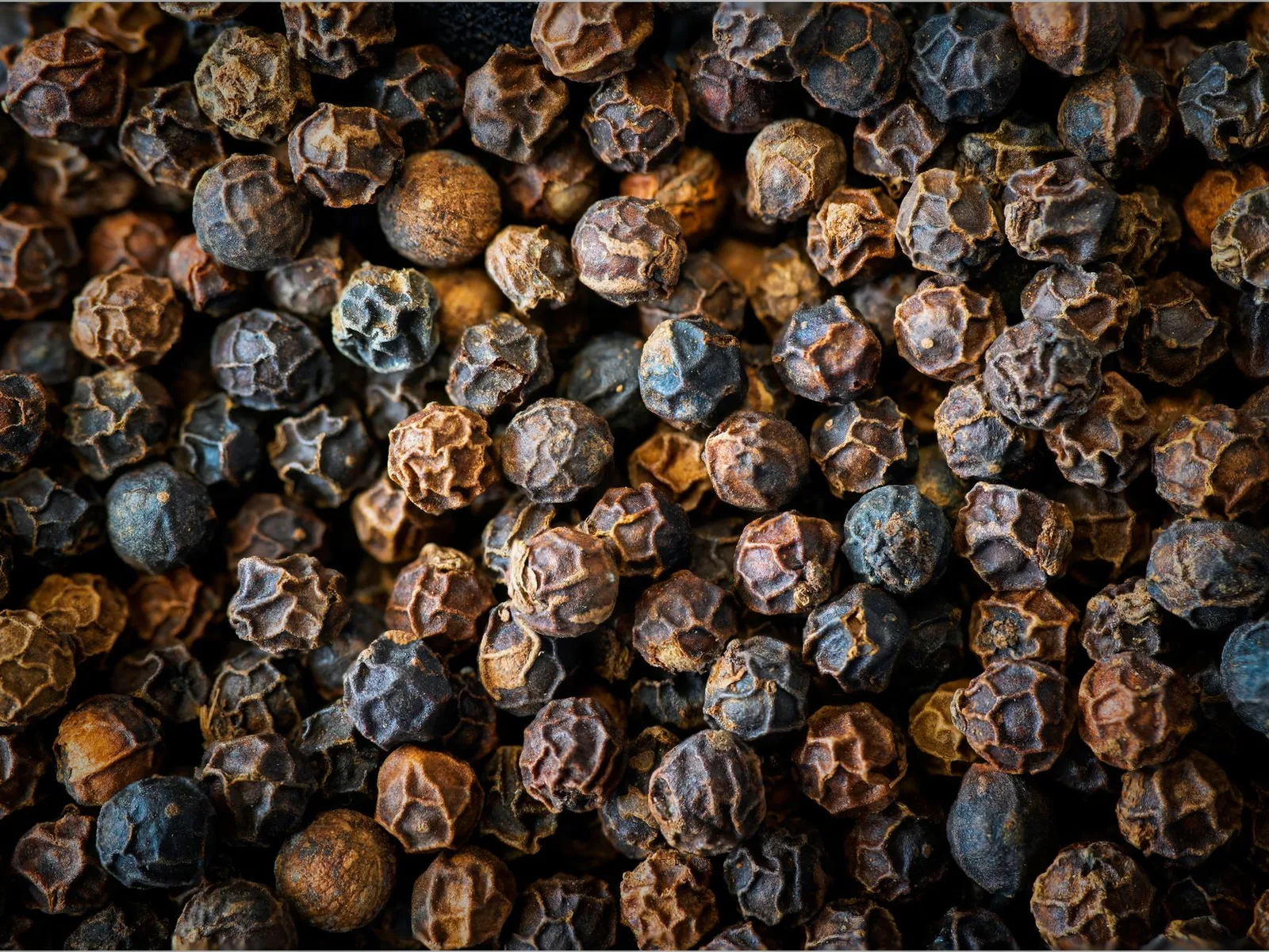 Black pepper oleoresin — Plant Lipids