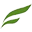 Fine Organic Industries logo