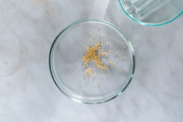 Mustard Seed, Yellow