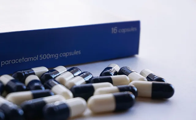 Paracetamol API, Bulk