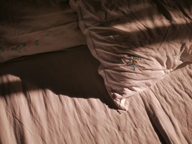 Panipat Cotton Bedsheet